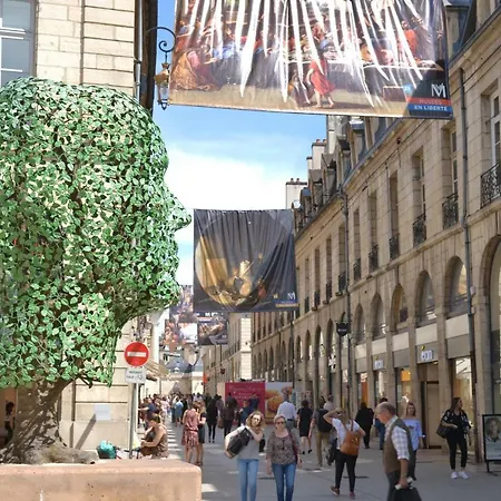 Le Pompon'ing, Coeur De Ville 公寓